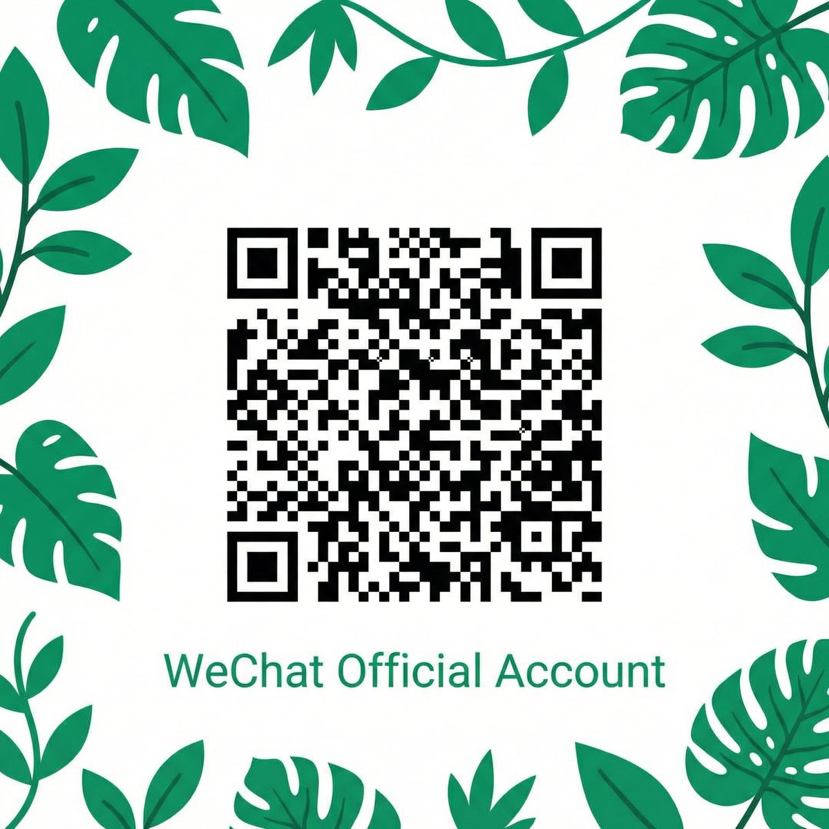 91传媒公众号